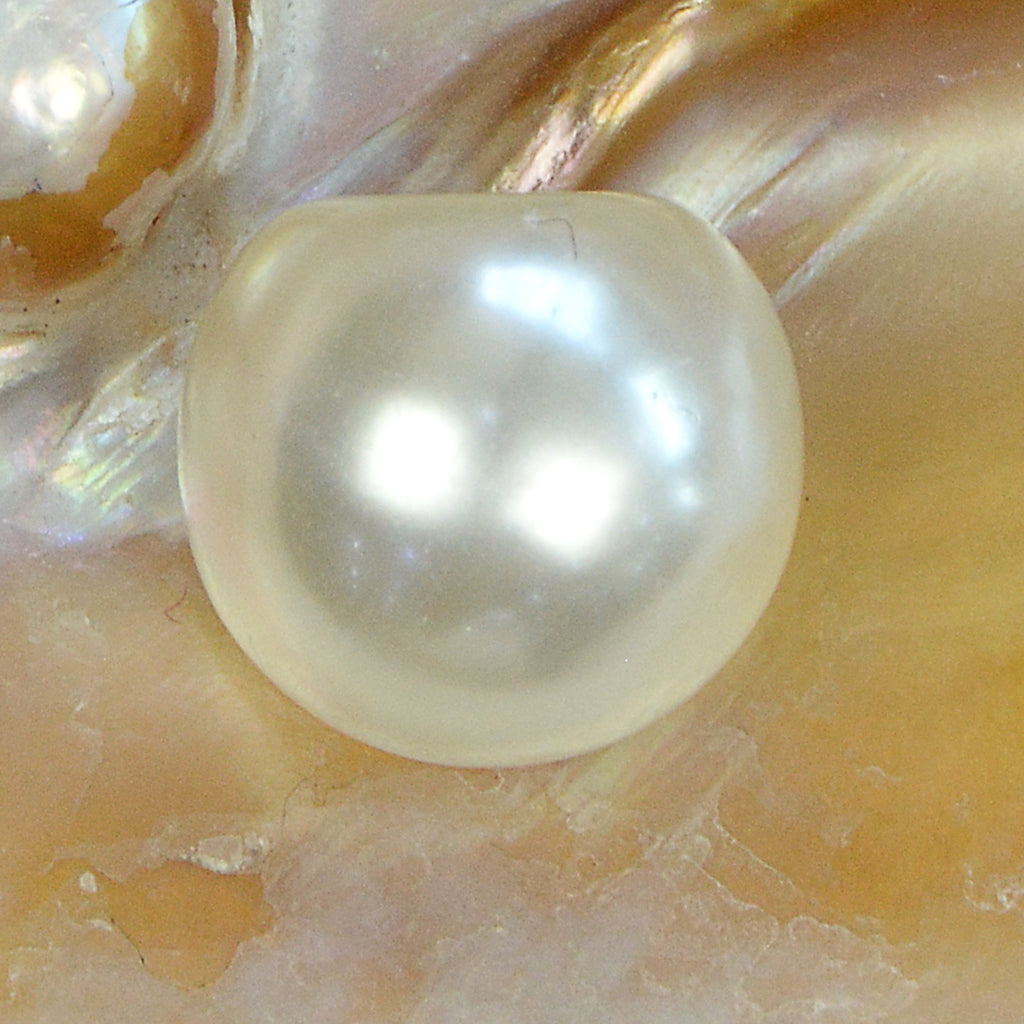 Plastic Pearl Button