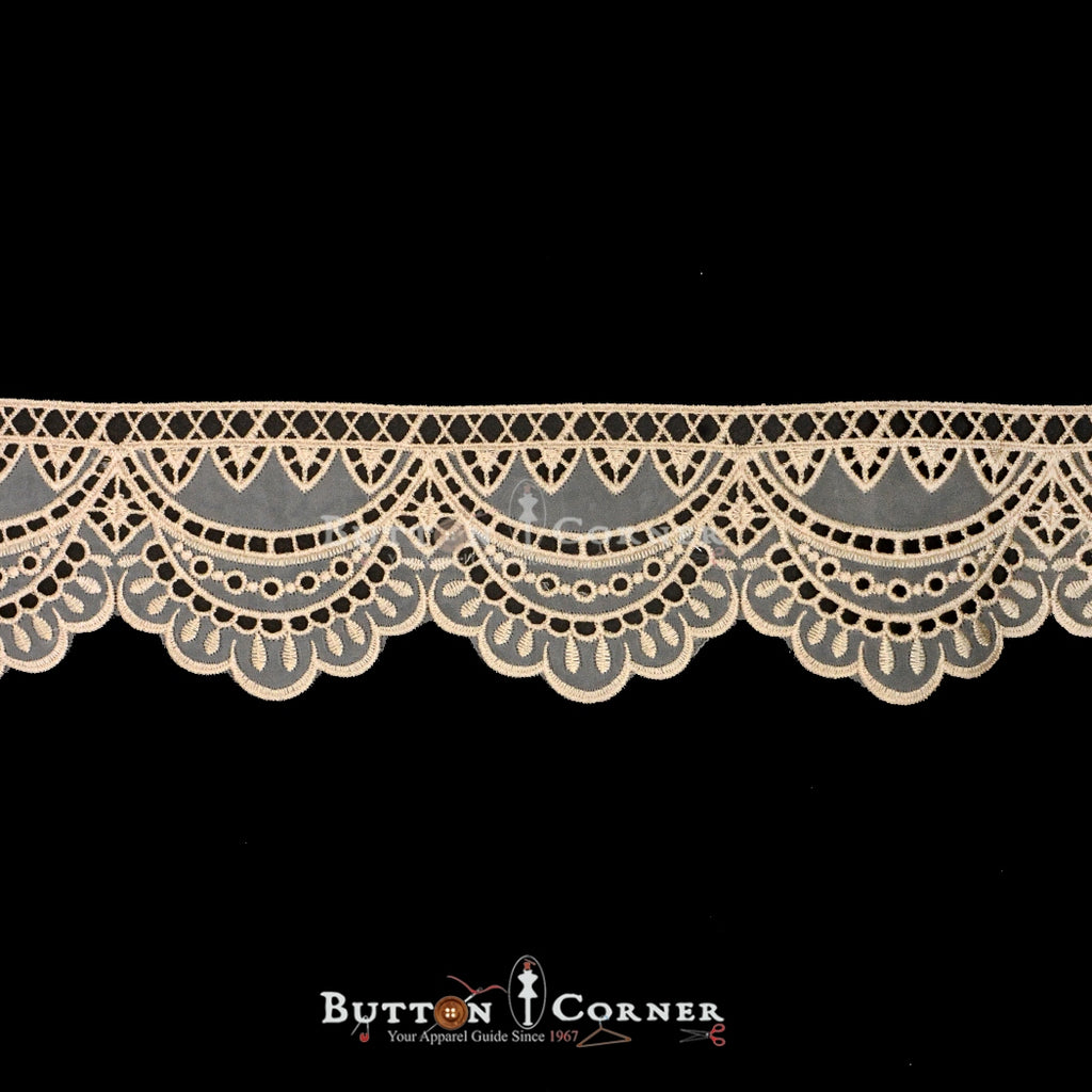 One Side Border Organza Lace